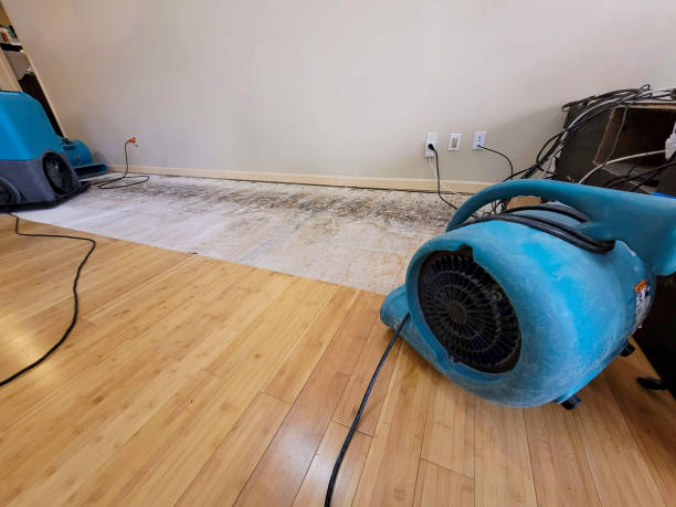 Professional Burst Pipe Water Damage technician working in Williamston, SC